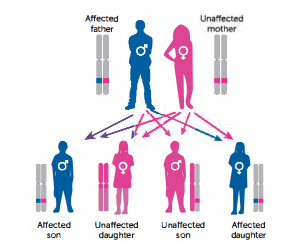 CellMax DNA Genetic Cancer Risk